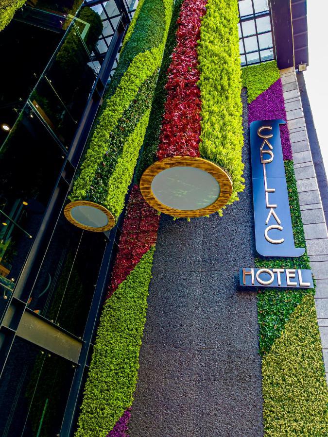 Cadillac Cocoon Beds Meksika Dış mekan fotoğraf