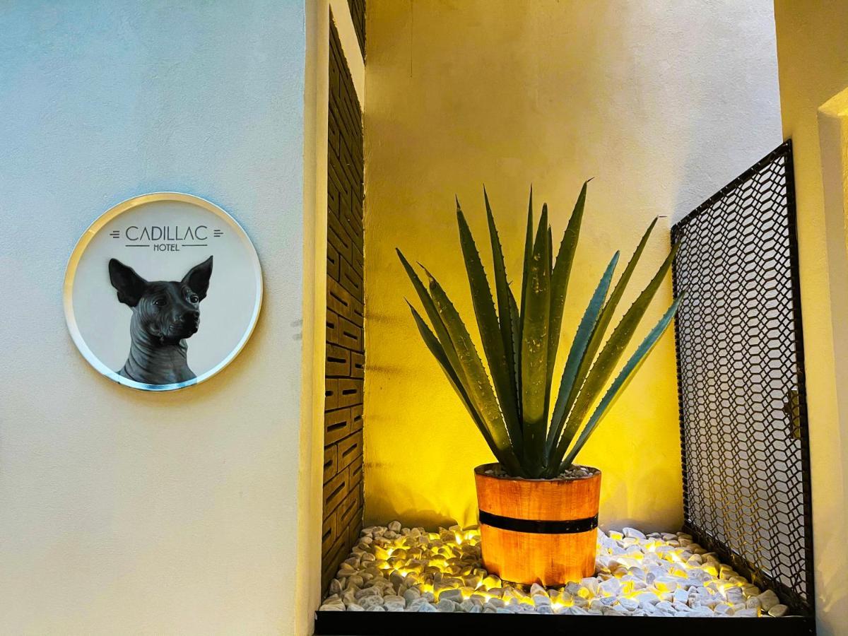 Cadillac Cocoon Beds Meksika Dış mekan fotoğraf
